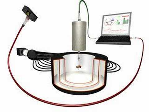 The Drosophila Flight Simulator 2.0